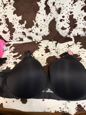 Cacique Black Molded T-Shirt Bra